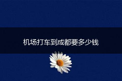 机场打车到成都要多少钱