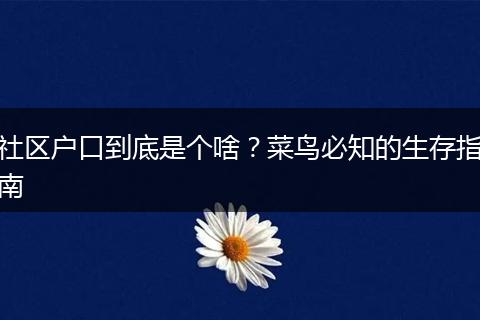 社区户口到底是个啥？菜鸟必知的生存指南