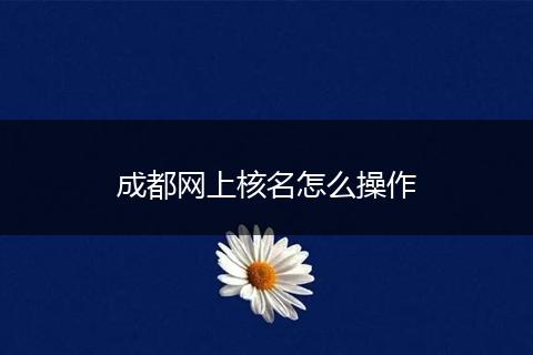 成都网上核名怎么操作