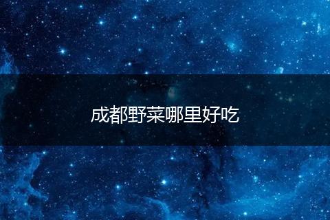 成都野菜哪里好吃