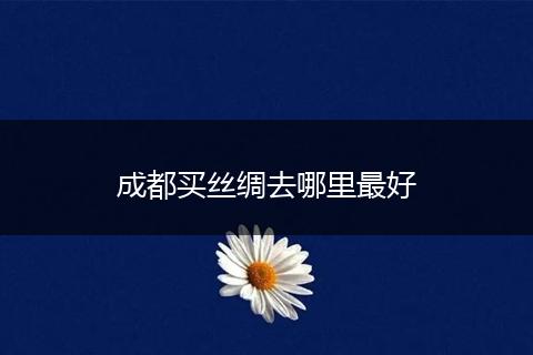 成都买丝绸去哪里最好