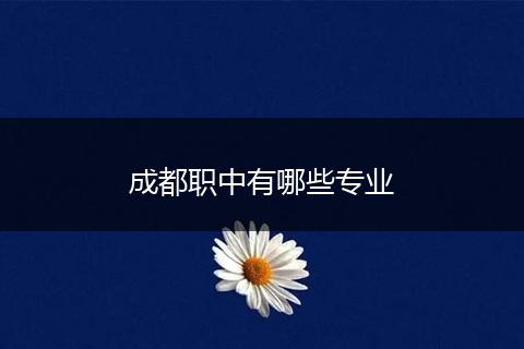 成都职中有哪些专业