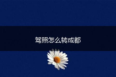 驾照怎么转成都