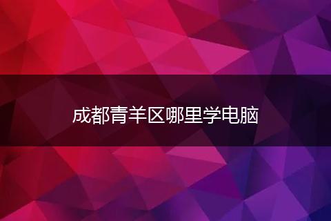 成都青羊区哪里学电脑