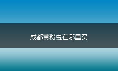 成都黄粉虫在哪里买