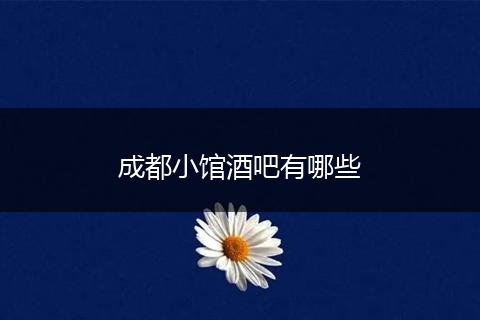 成都小馆酒吧有哪些