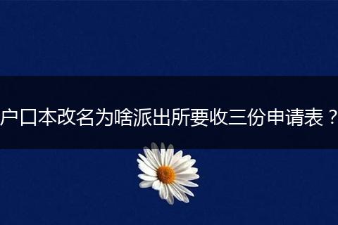 户口本改名为啥派出所要收三份申请表？