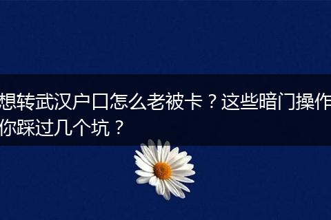 想转武汉户口怎么老被卡？这些暗门操作你踩过几个坑？