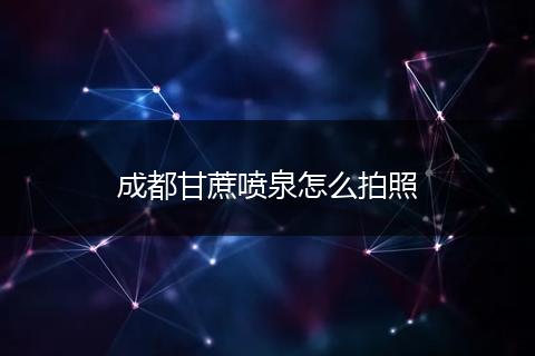 成都甘蔗喷泉怎么拍照