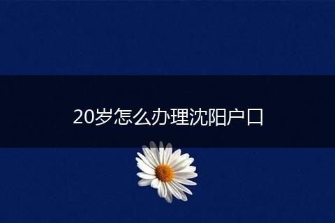 20岁怎么办理沈阳户口