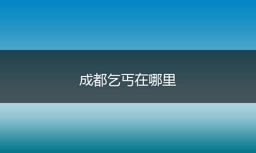 成都乞丐在哪里