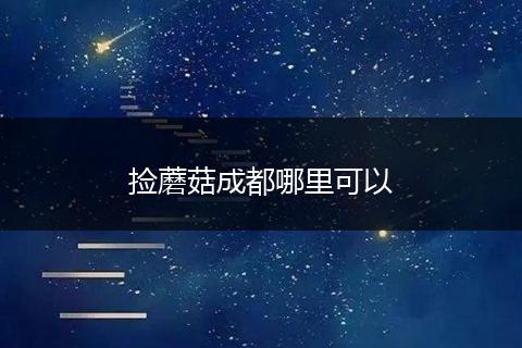 捡蘑菇成都哪里可以