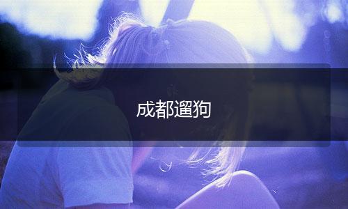 成都遛狗