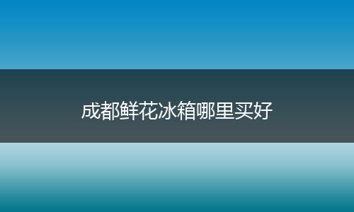成都鲜花冰箱哪里买好