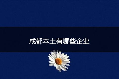 成都本土有哪些企业