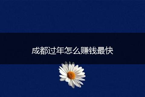 成都过年怎么赚钱最快