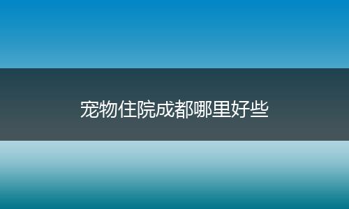 宠物住院成都哪里好些