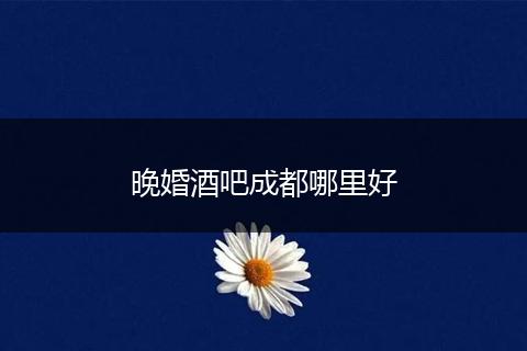晚婚酒吧成都哪里好