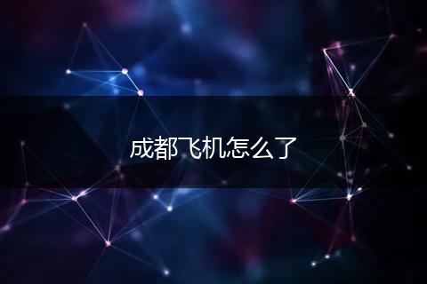 成都飞机怎么了