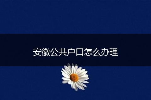 安徽公共户口怎么办理