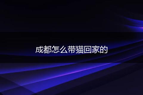 成都怎么带猫回家的