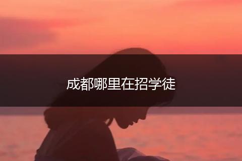 成都哪里在招学徒