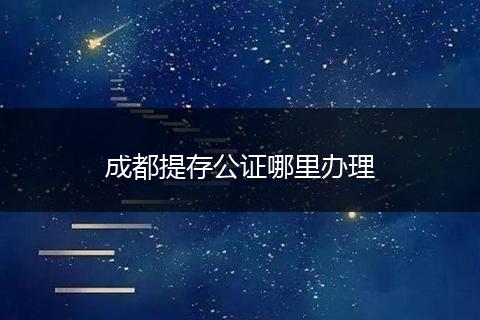 成都提存公证哪里办理