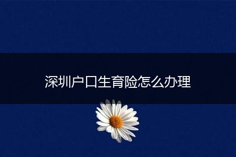 深圳户口生育险怎么办理