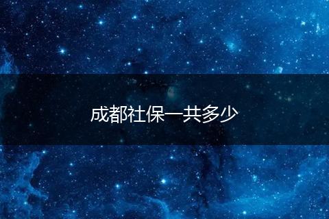 成都社保一共多少