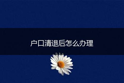 户口清退后怎么办理