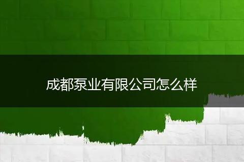 成都泵业有限公司怎么样