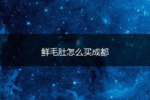 鲜毛肚怎么买成都