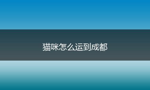 猫咪怎么运到成都