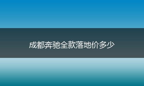 成都奔驰全款落地价多少