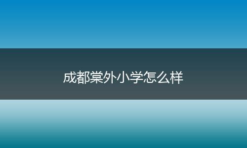 成都棠外小学怎么样