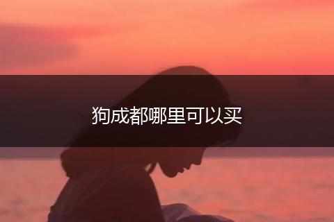 狗成都哪里可以买