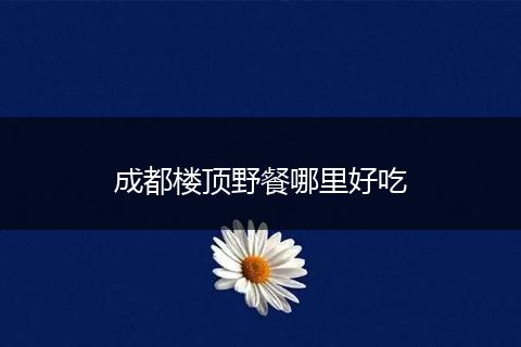 成都楼顶野餐哪里好吃