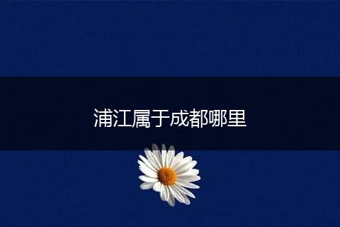 浦江属于成都哪里