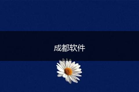 成都软件