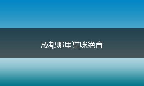 成都哪里猫咪绝育