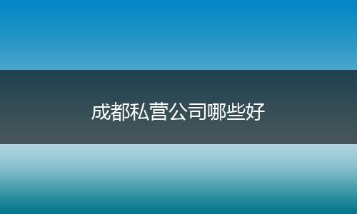 成都私营公司哪些好