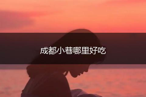 成都小巷哪里好吃