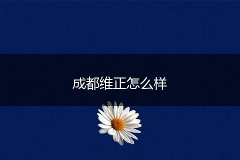 成都维正怎么样