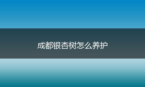 成都银杏树怎么养护