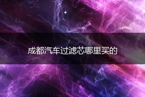 成都汽车过滤芯哪里买的
