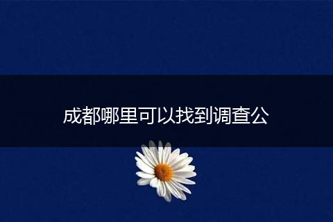 成都哪里可以找到调查公