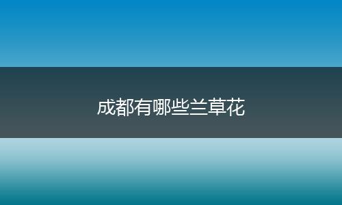 成都有哪些兰草花