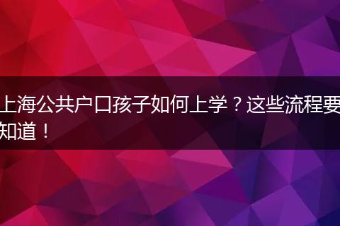 上海公共户口孩子如何上学？这些流程要知道！