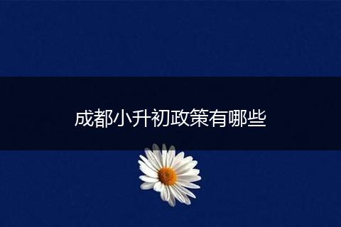 成都小升初政策有哪些