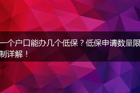一个户口能办几个低保?低保申请数量限制详解!